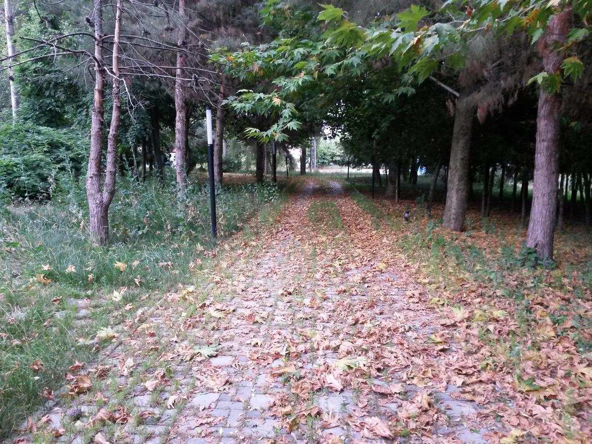 Sheki Olimpiya Hotel & Resort Exterior foto